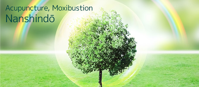 当院のごあんない